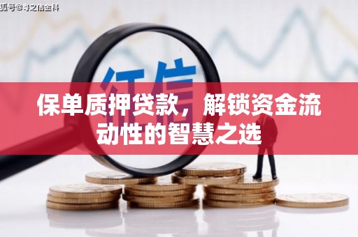 湟源保单质押贷款，解锁资金流动性的智慧之选