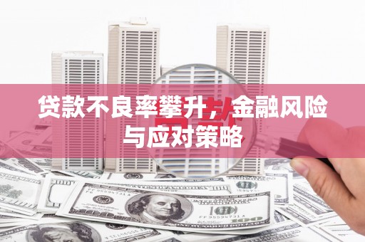 湟源贷款不良率攀升，金融风险与应对策略