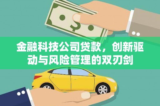 湟源金融科技公司贷款，创新驱动与风险管理的双刃剑