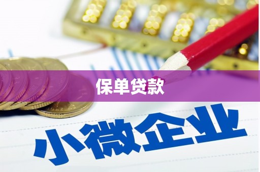 湟源保单贷款